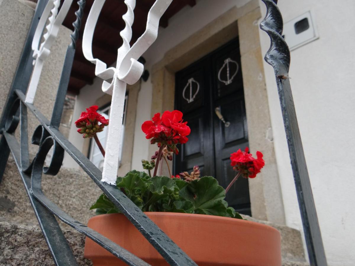 Casa Luizinho Holiday home Seixo da Beira
